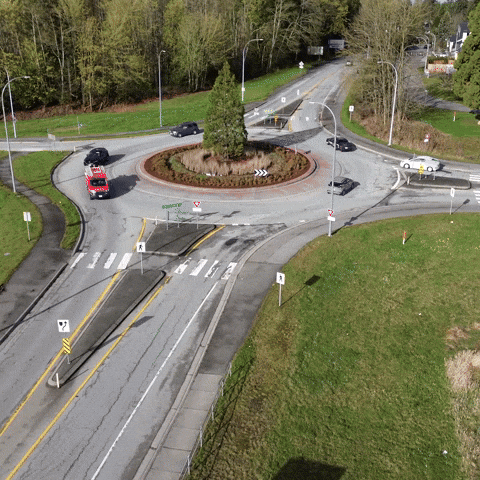 A video of a roundabout in a forested area